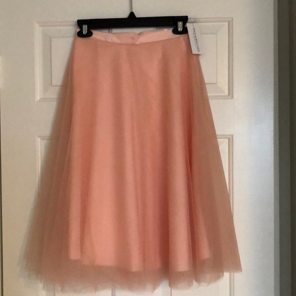 Space 46 Boutique Tulle Midi Skirt